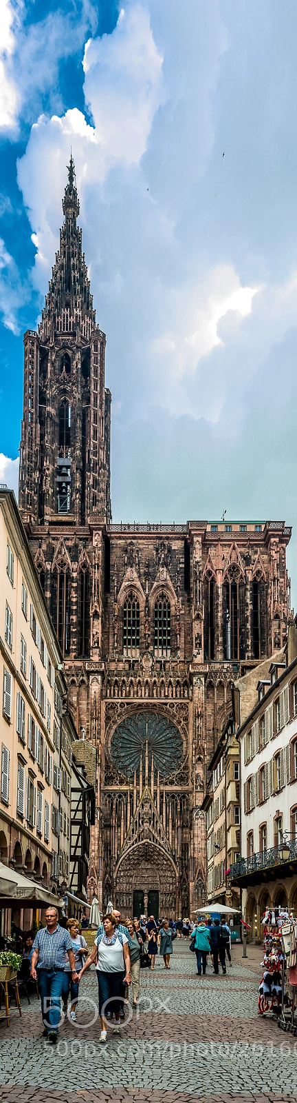 Nikon D750 sample photo. Cathédrale de strasbourg photography