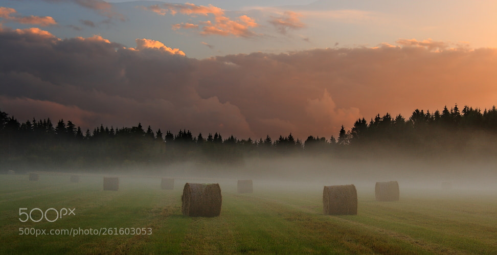 Canon EF-S 18-55mm F3.5-5.6 II sample photo. Sommernebelabend photography