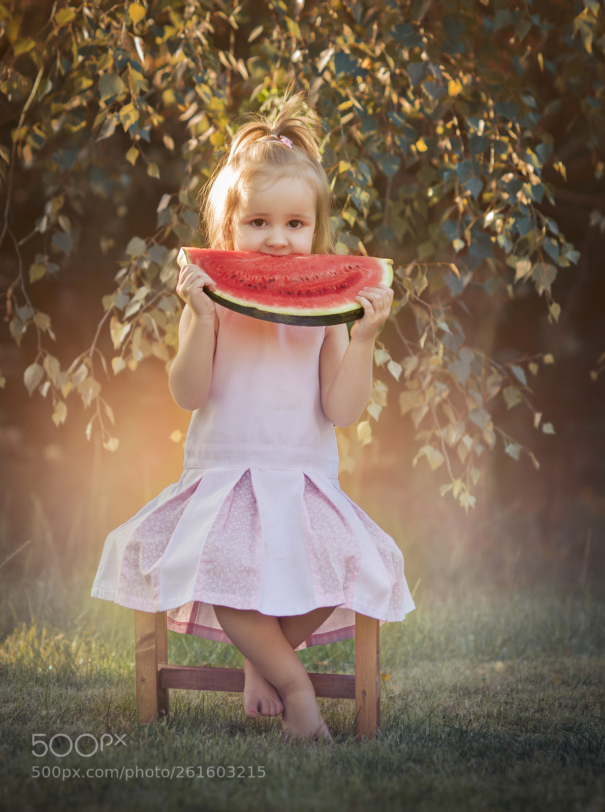 Nikon D90 sample photo. Amelia photography