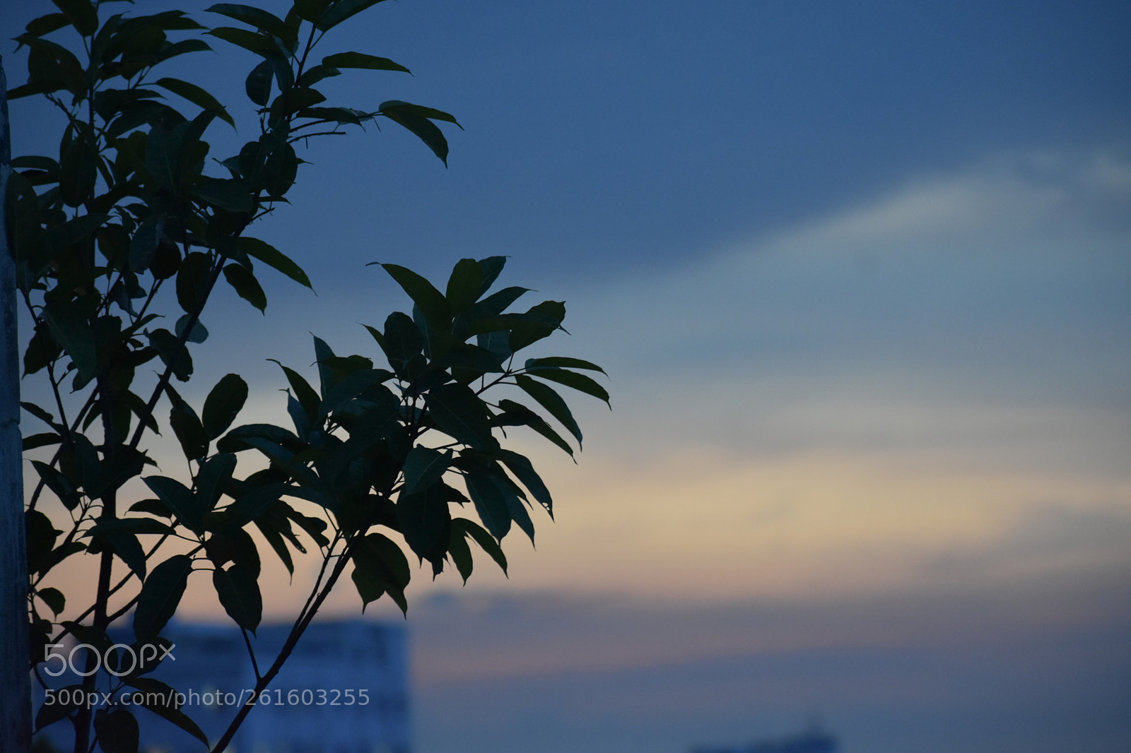 Nikon D3400 sample photo. Untitled photography