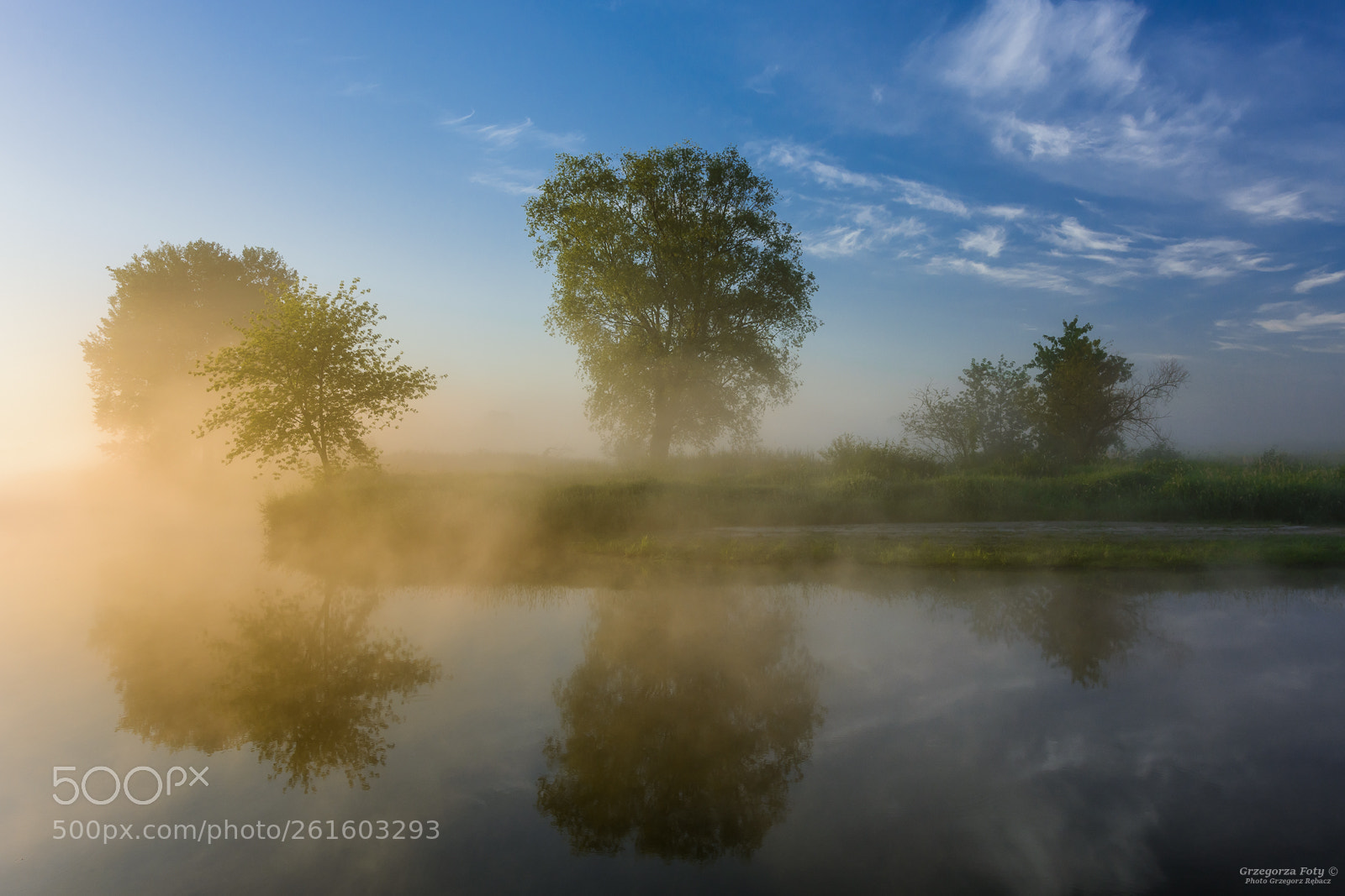 Nikon D7100 sample photo. In the fog photography