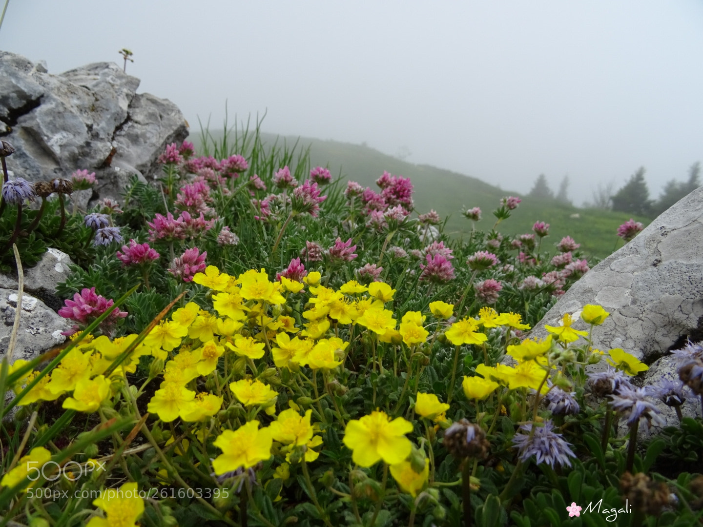 Sony DSC-HX60 sample photo. Colours photography