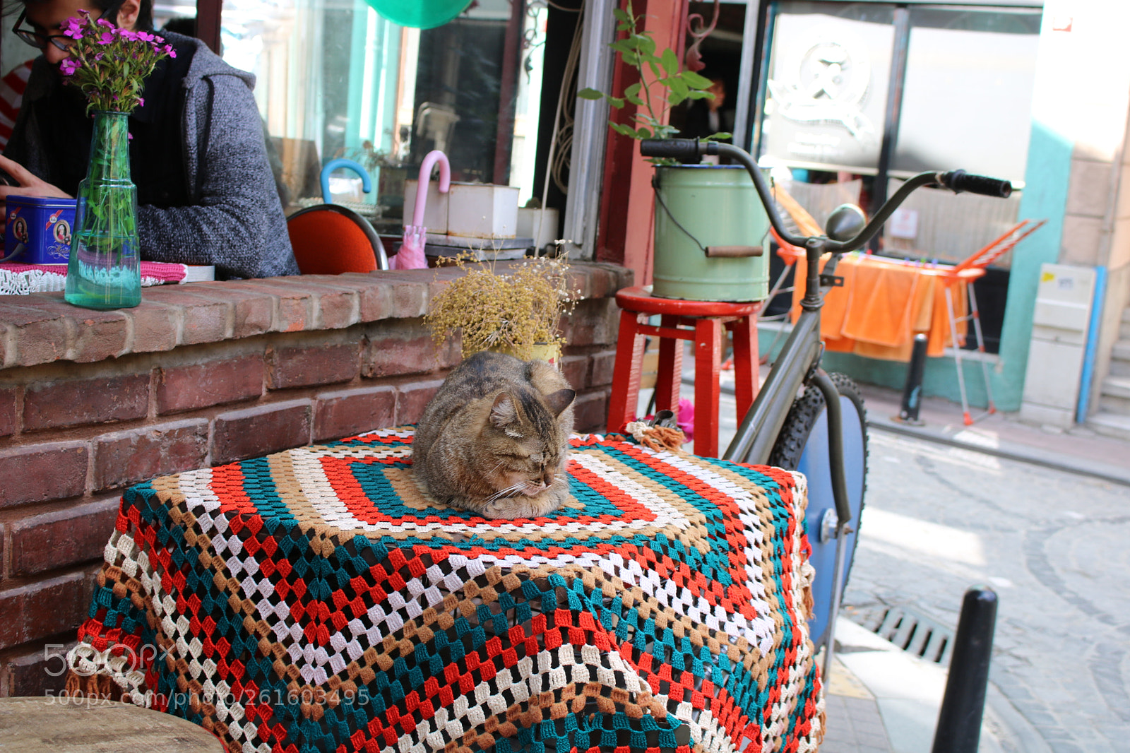 Canon EOS 750D (EOS Rebel T6i / EOS Kiss X8i) sample photo. Untitled photography