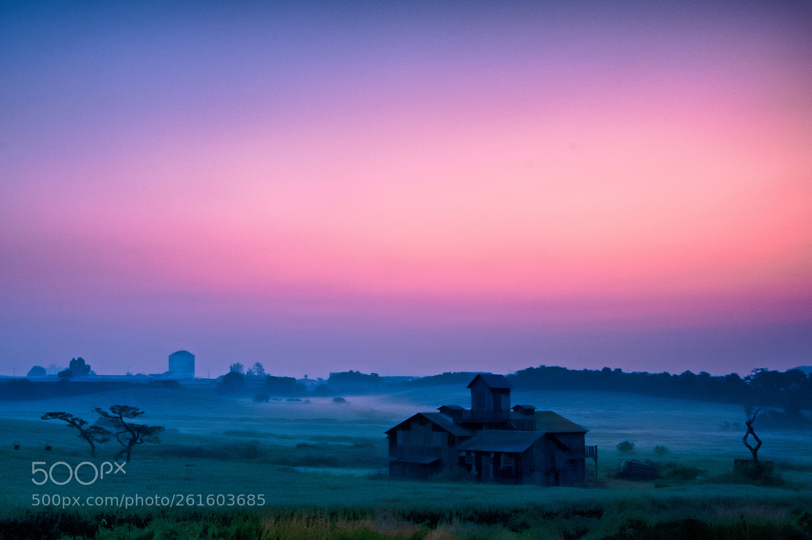 Nikon D500 sample photo. The dawn of a photography