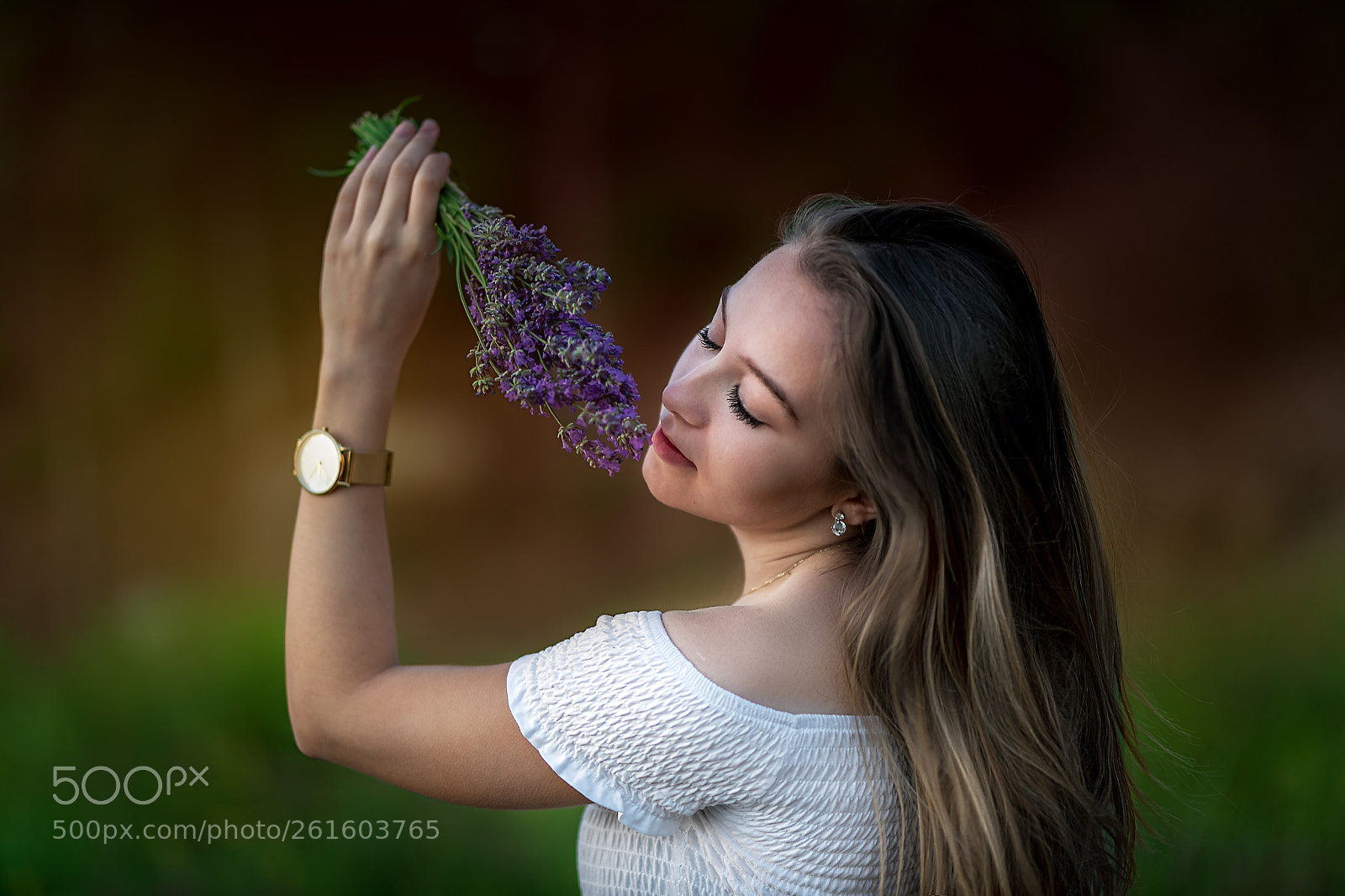 Canon EOS 5D Mark IV sample photo. Fragrance of lavender photography