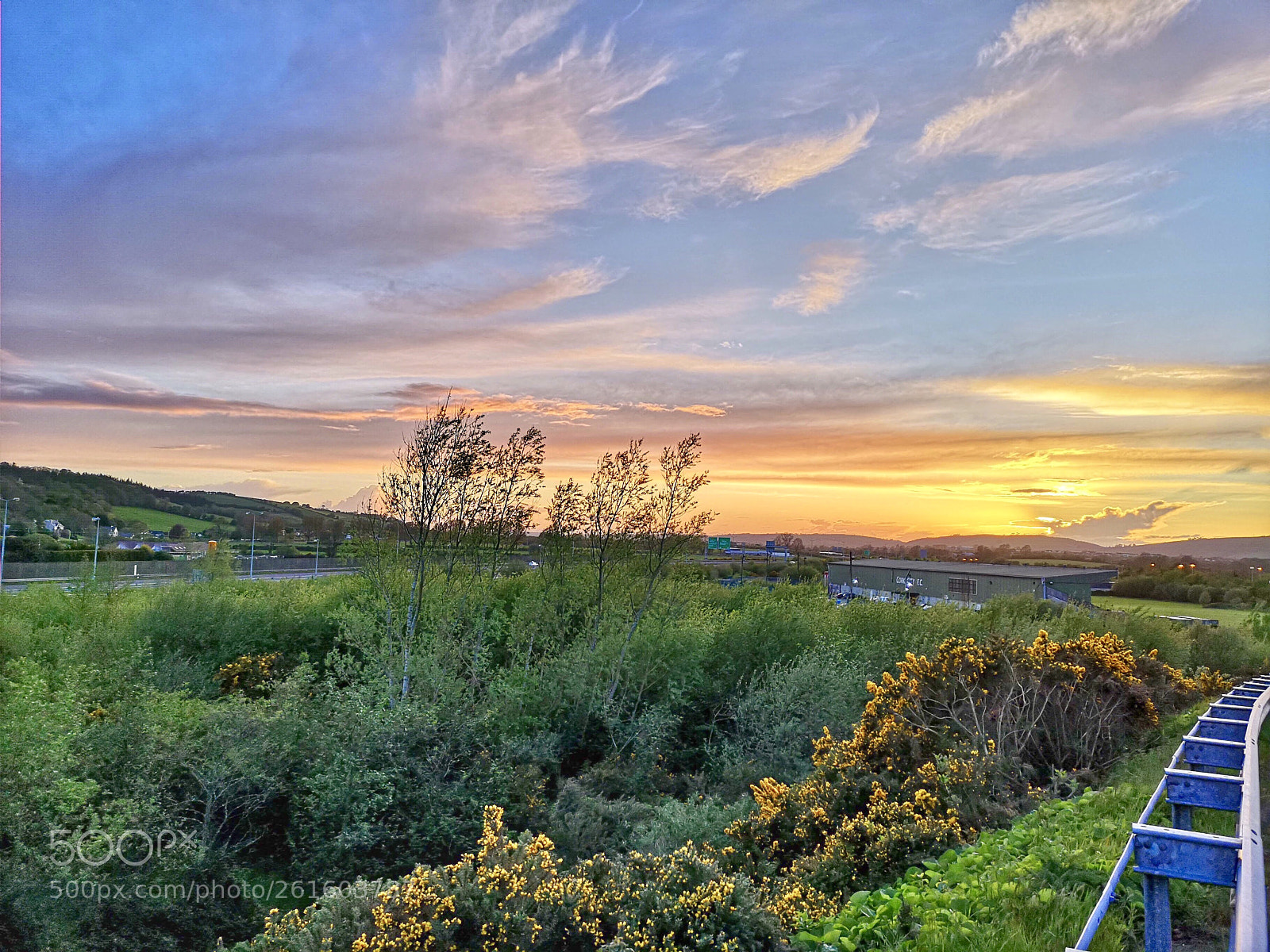 HUAWEI CLT-L09 sample photo. Golden hour? photography