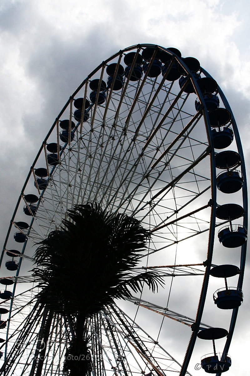 Canon EOS 450D (EOS Rebel XSi / EOS Kiss X2) sample photo. Ferris wheel palm photography