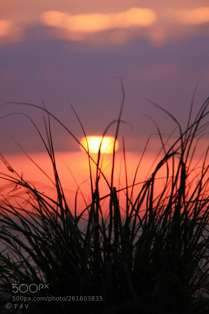 Canon EOS 450D (EOS Rebel XSi / EOS Kiss X2) sample photo. Dune sunset photography