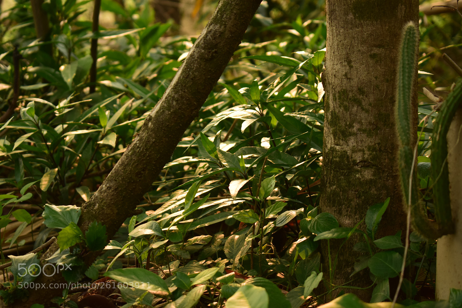 Nikon D5300 sample photo. Untitled photography