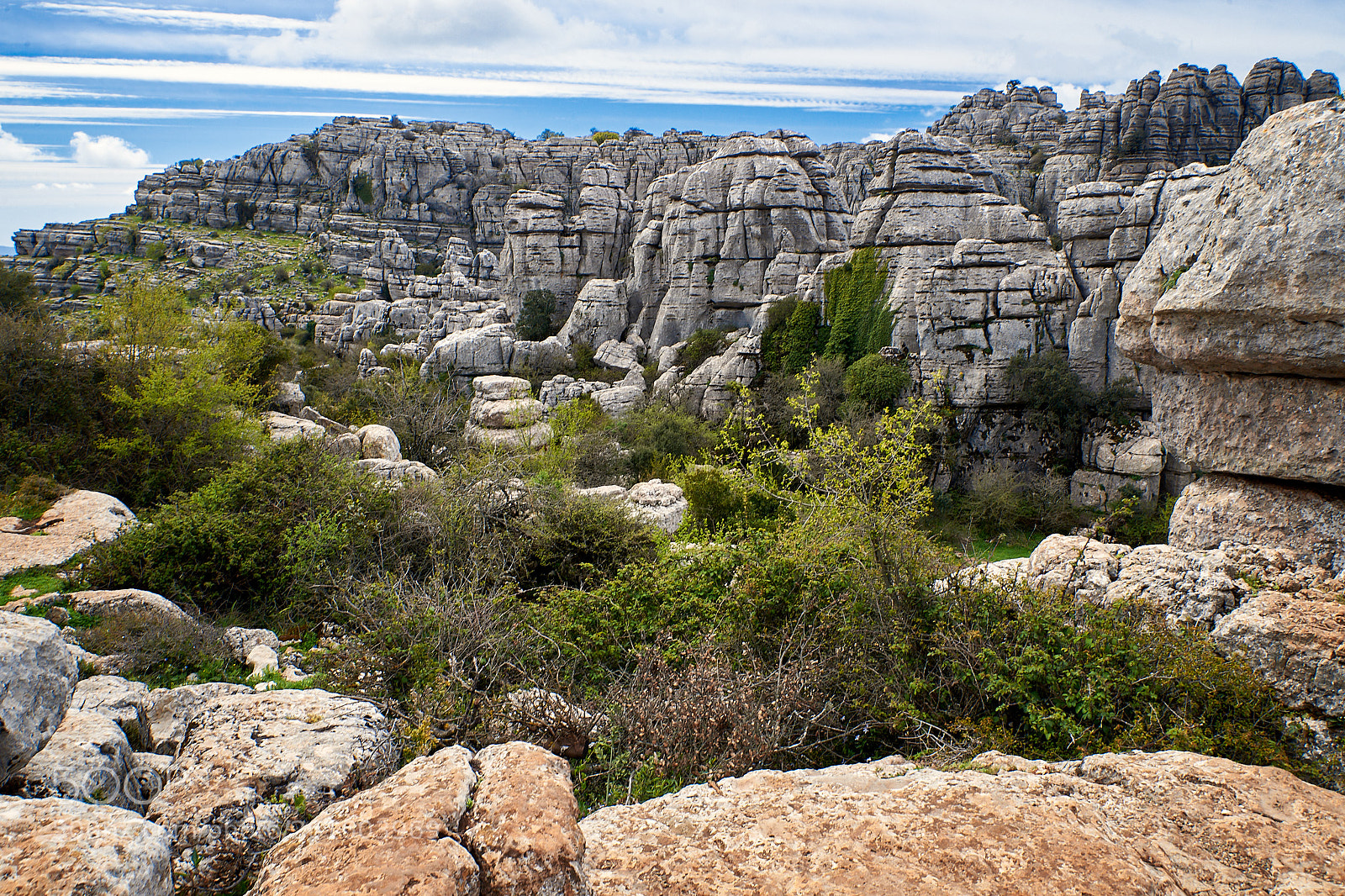 Nikon D610 sample photo. Paraja natural el torcal photography