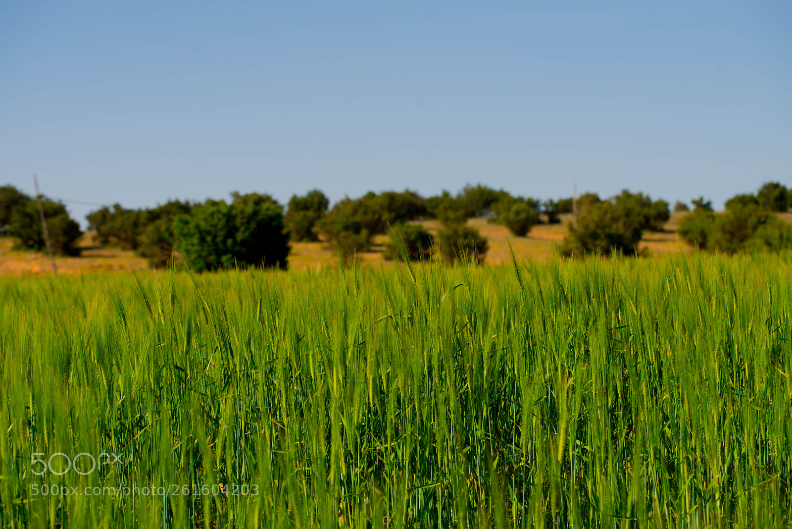 Nikon D800 sample photo. Untitled photography