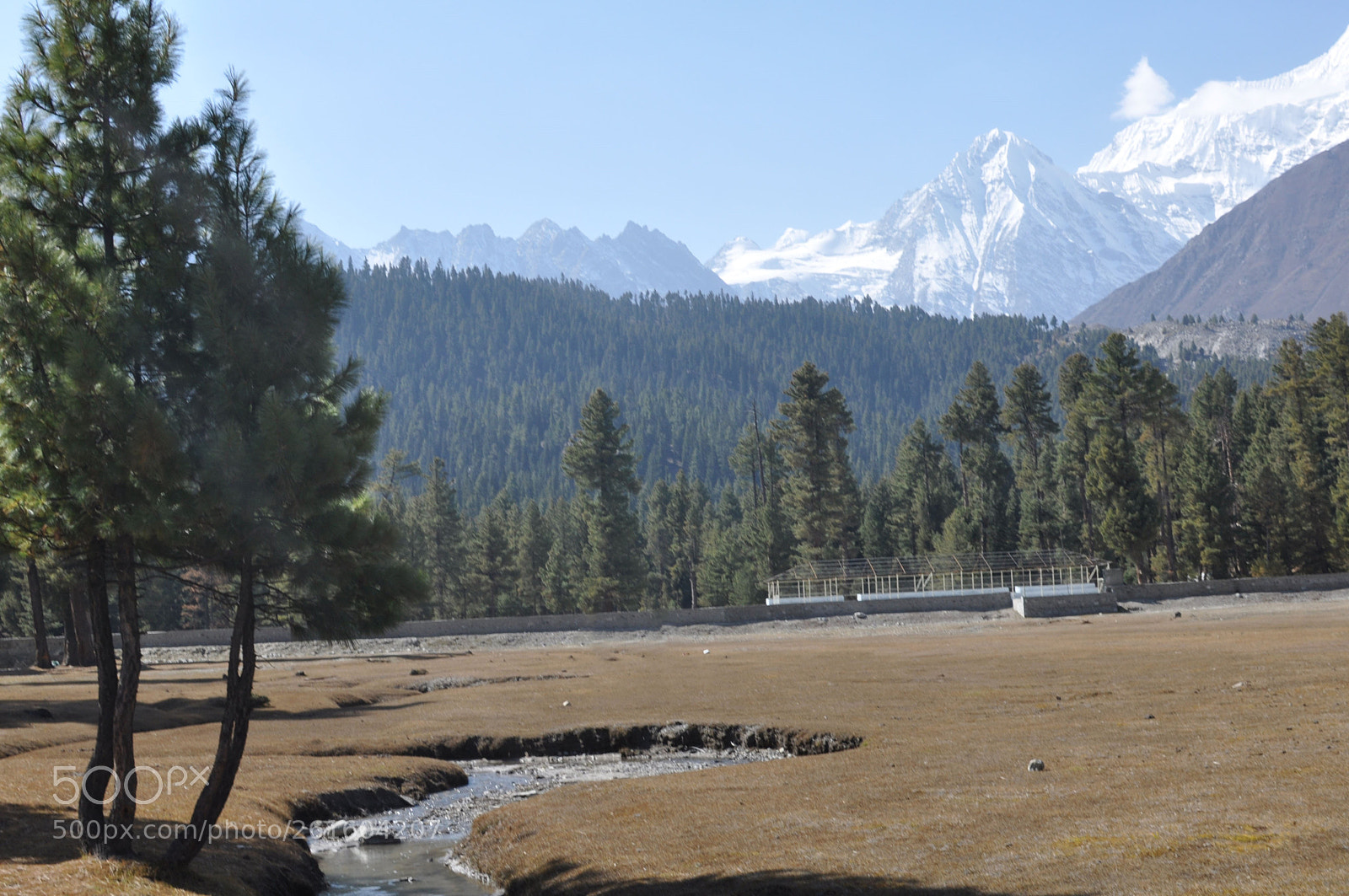 Nikon D90 sample photo. Forests and glaciers photography