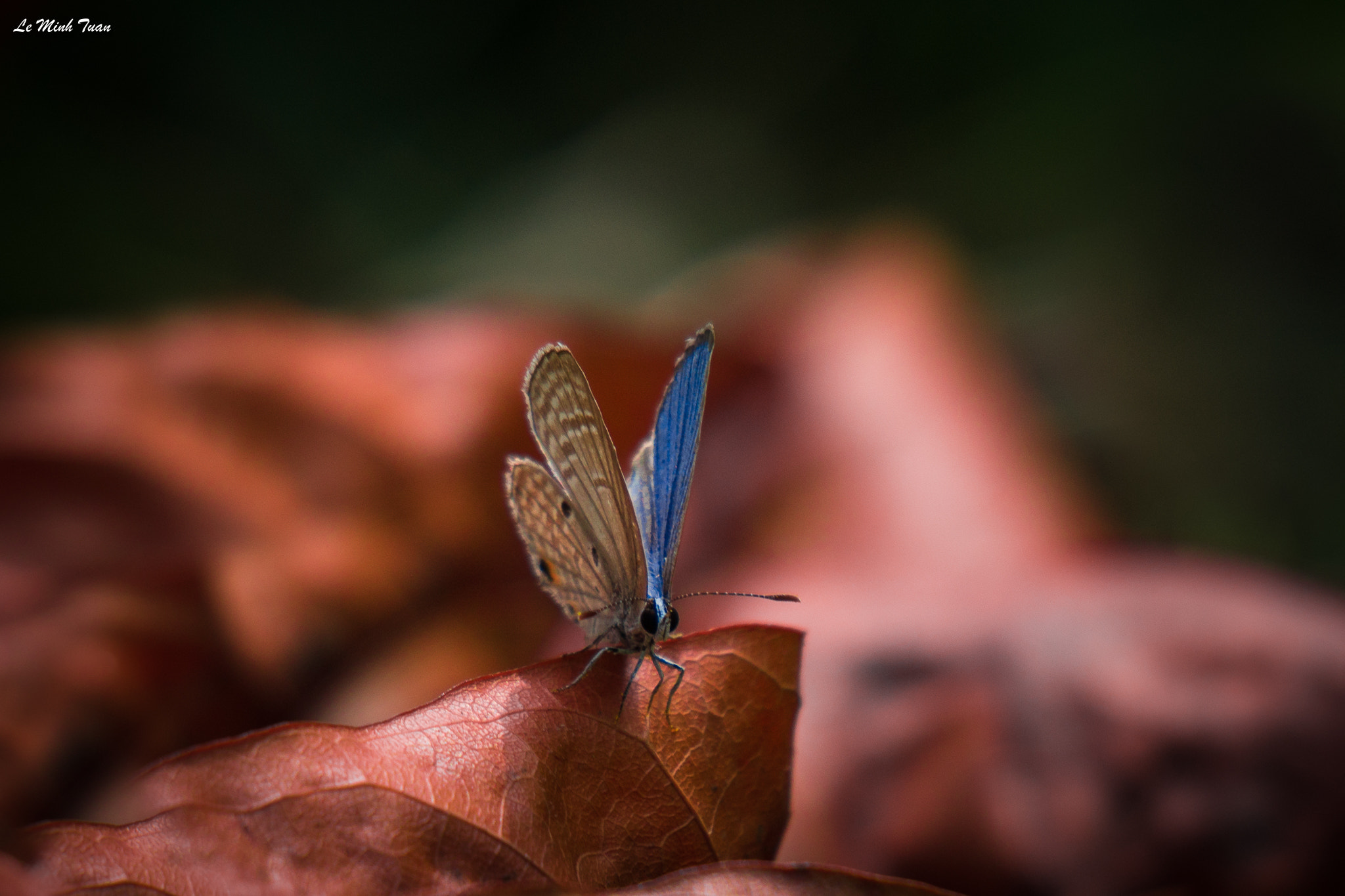 Sony Alpha NEX-7 sample photo. Home alone photography