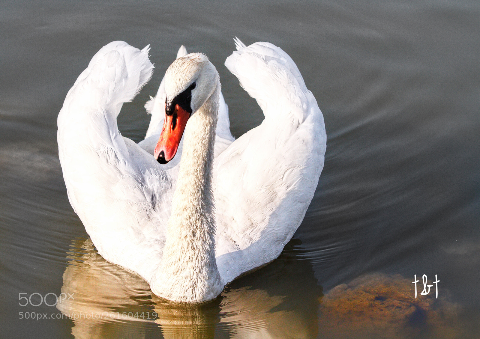 Canon EOS 7D sample photo. Untitled photography