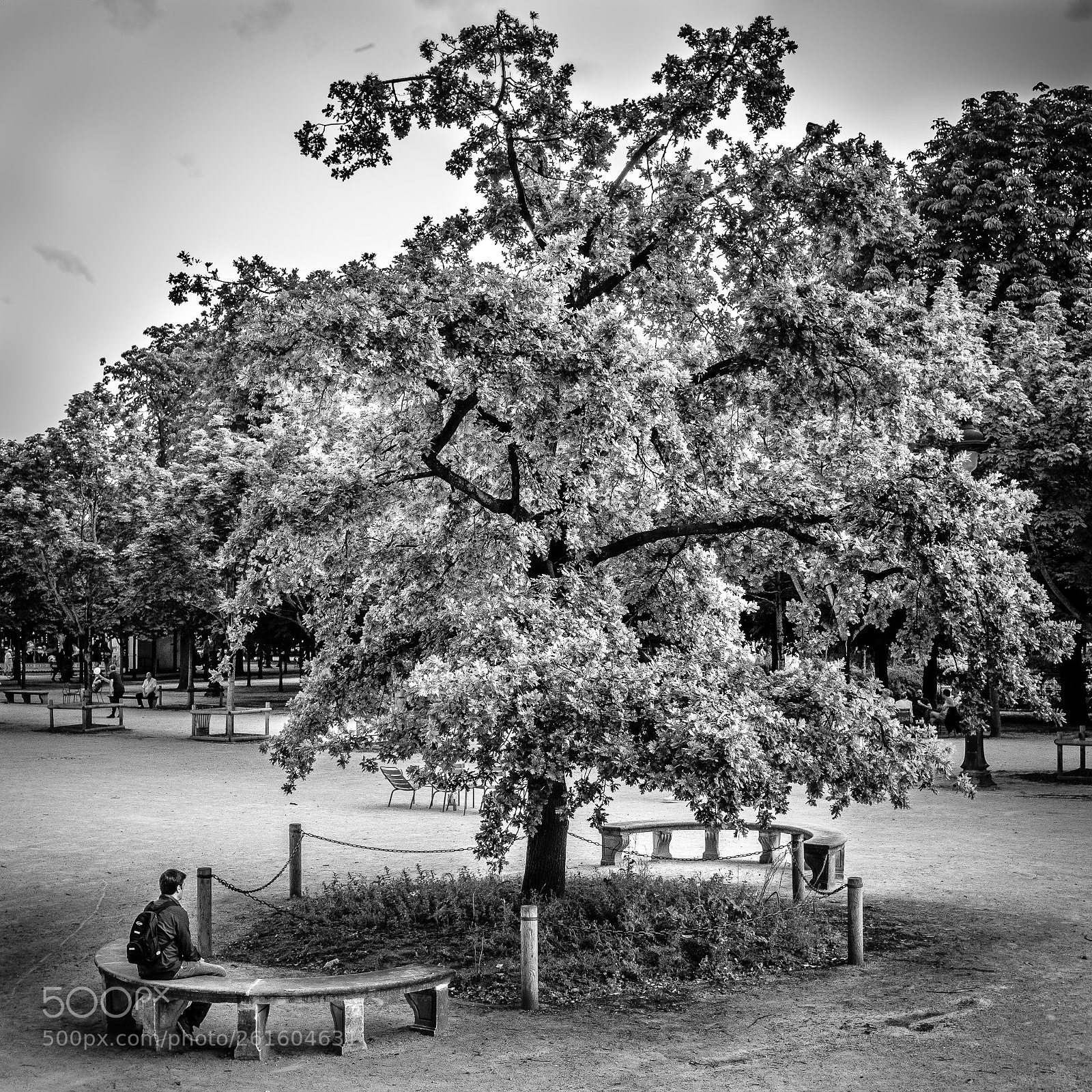 Fujifilm X100F sample photo. Streets of paris xlii photography