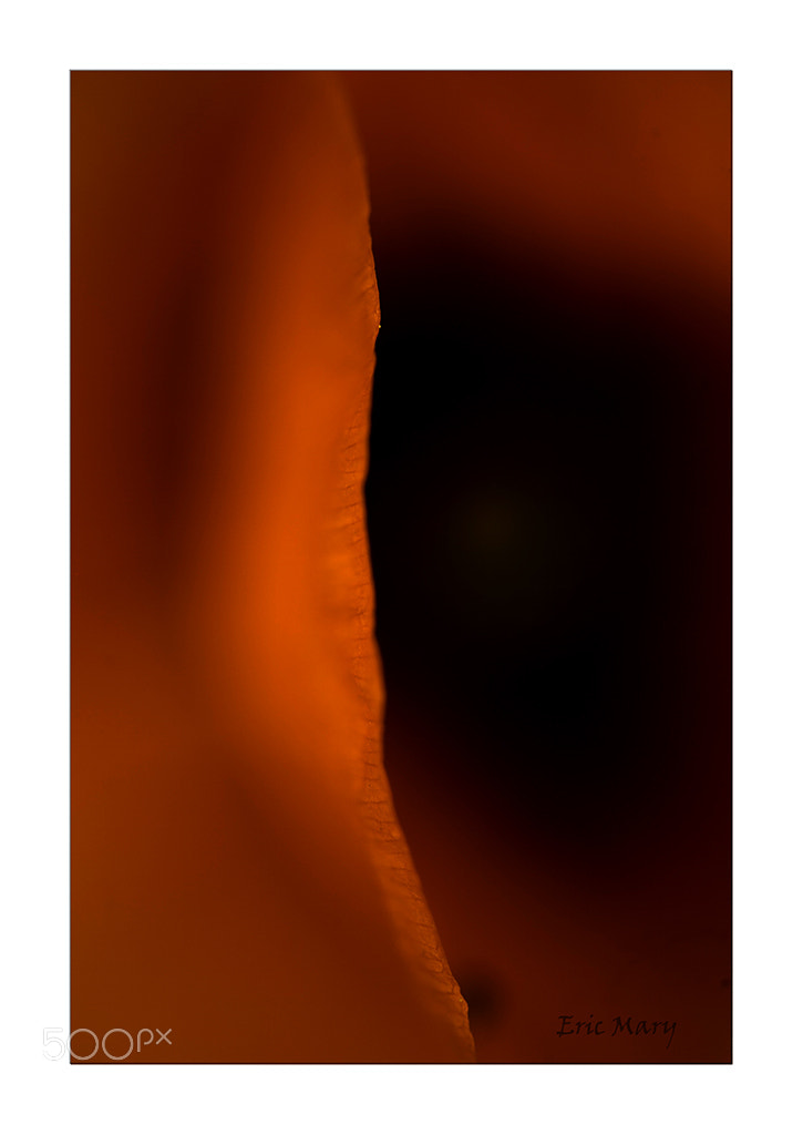 Canon EOS 5D Mark II sample photo. Rouge et noir photography