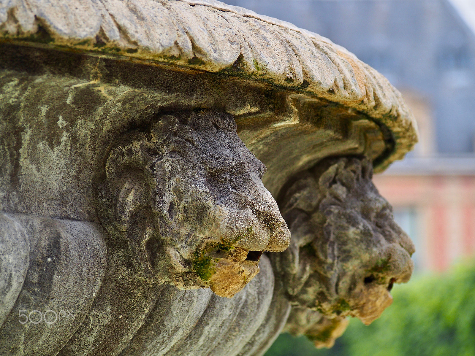 Olympus PEN E-PL6 sample photo. She left me high and dry photography