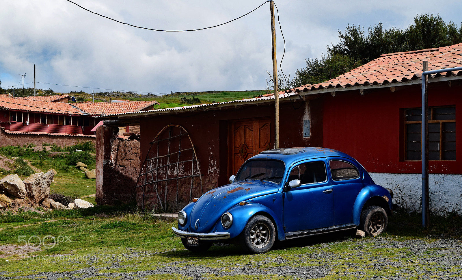 Nikon D3300 sample photo. Beetle in the andes photography