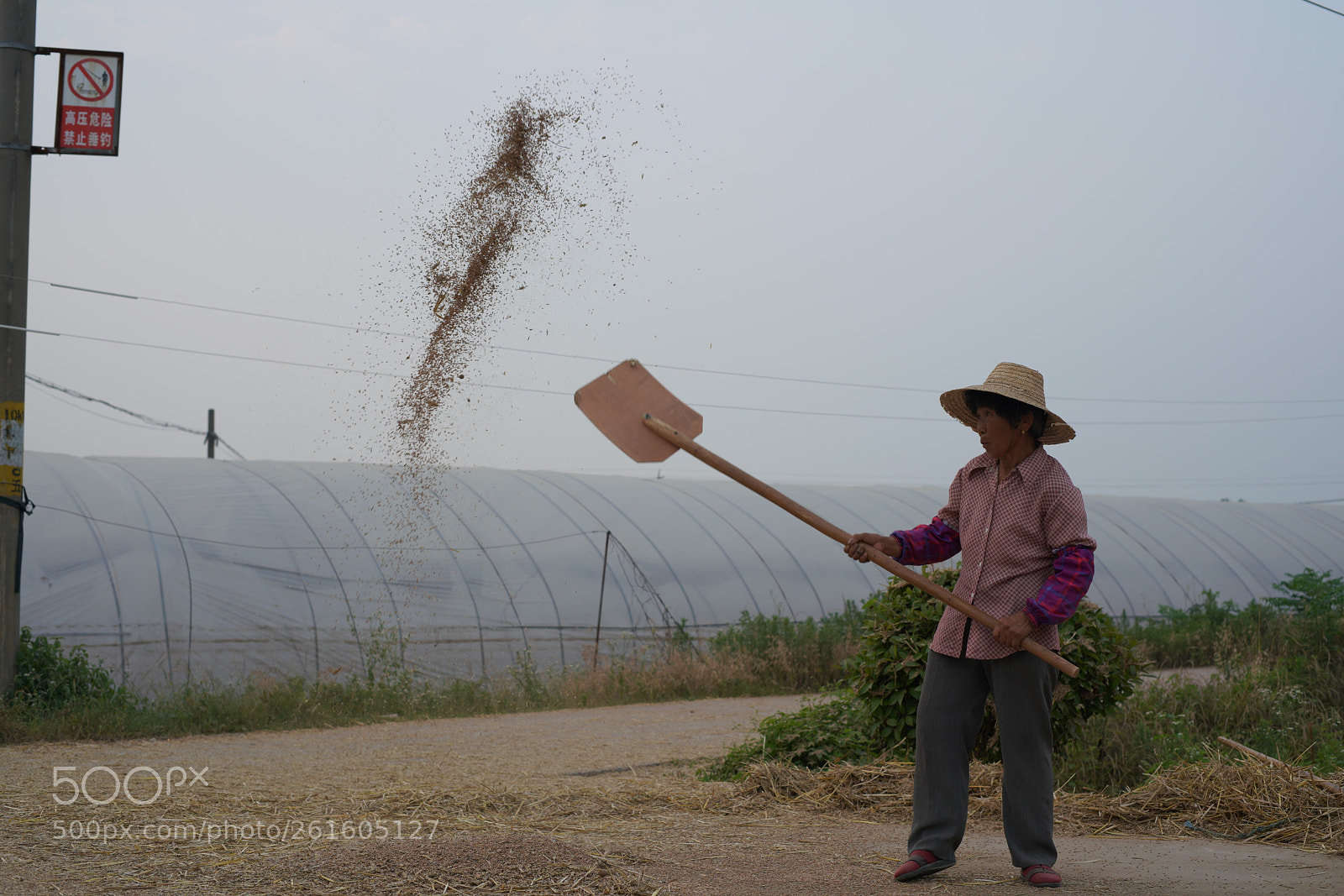 Sony a7R III sample photo. Untitled photography