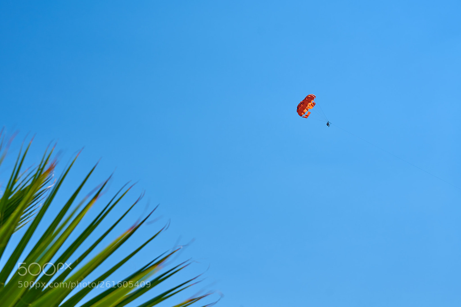 Sony a7 sample photo. Parasailing photography