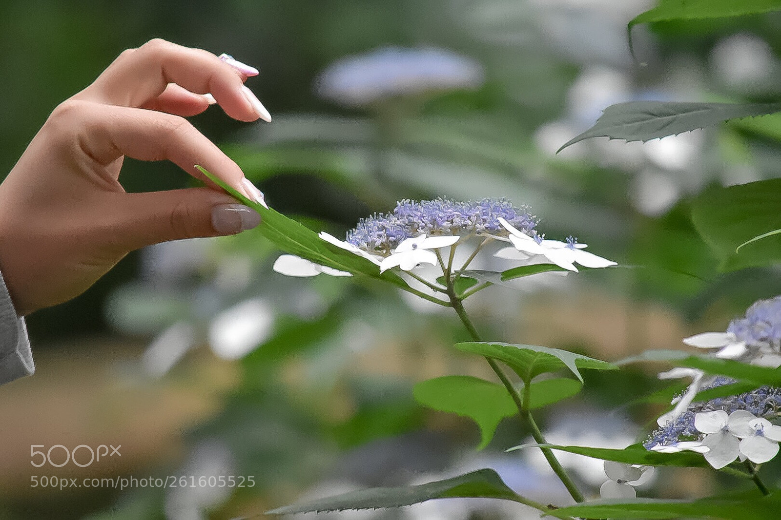 Nikon D5500 sample photo. Untitled photography