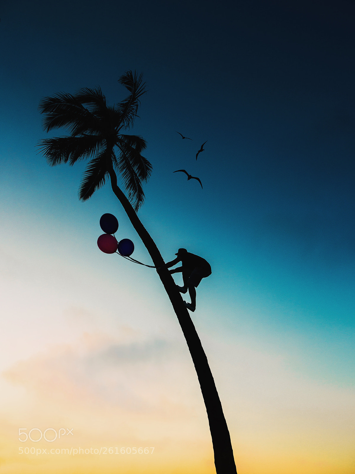 Canon EOS 6D sample photo. Just climb on.  photography