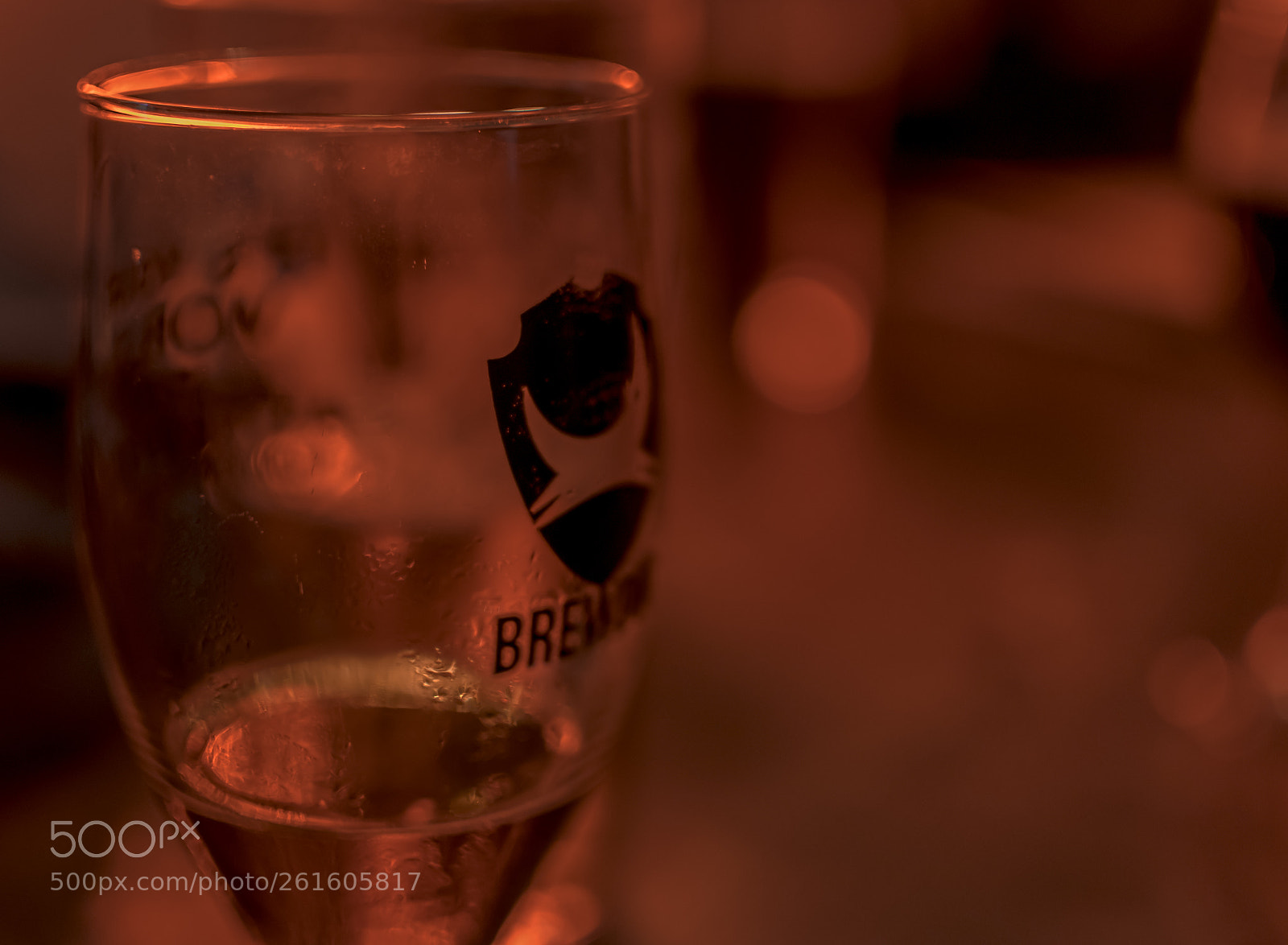 Nikon D5500 sample photo. Beer photography