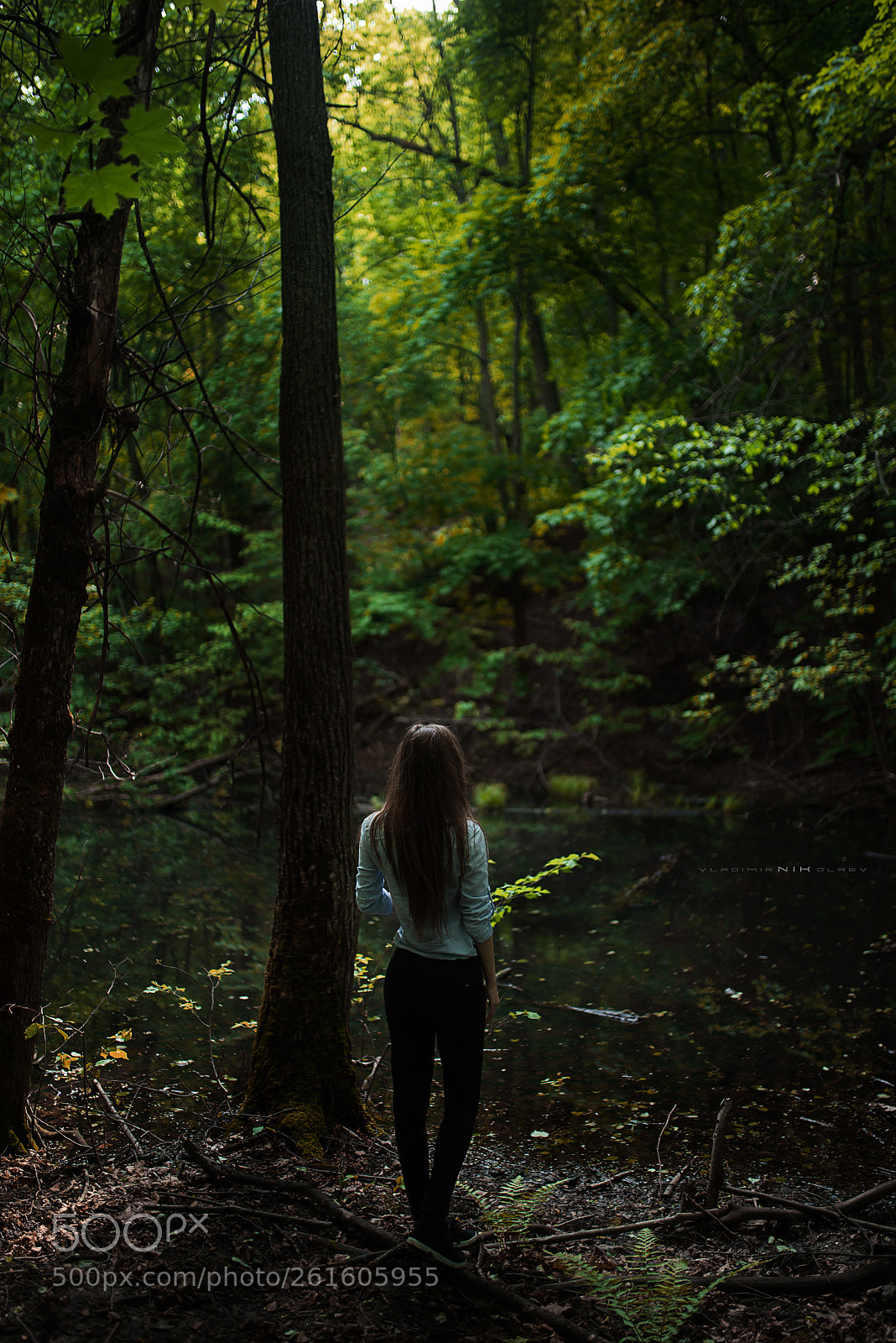 Nikon D750 sample photo. Untitled photography