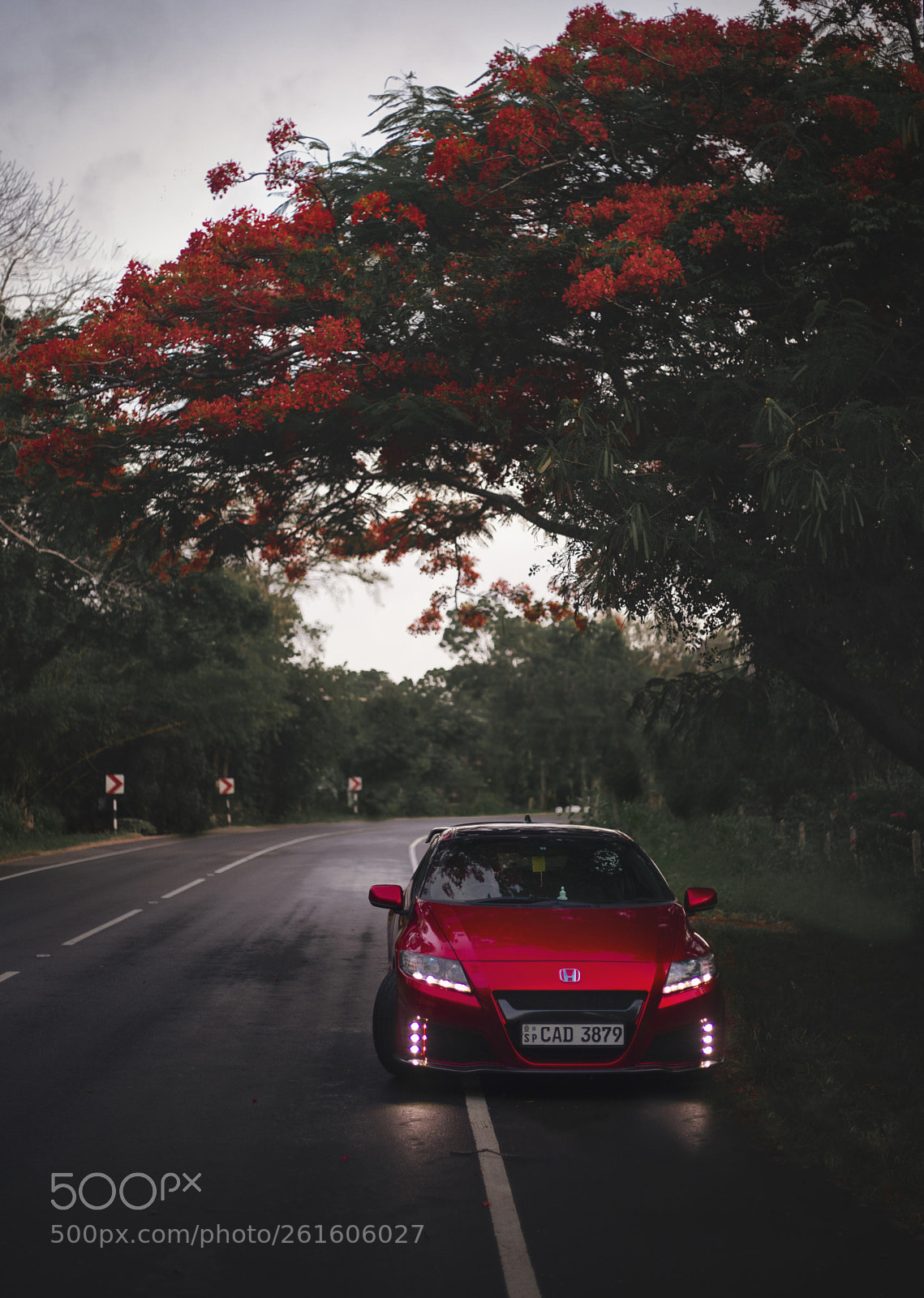 Canon EOS 5D Mark IV sample photo. Honda crz photography