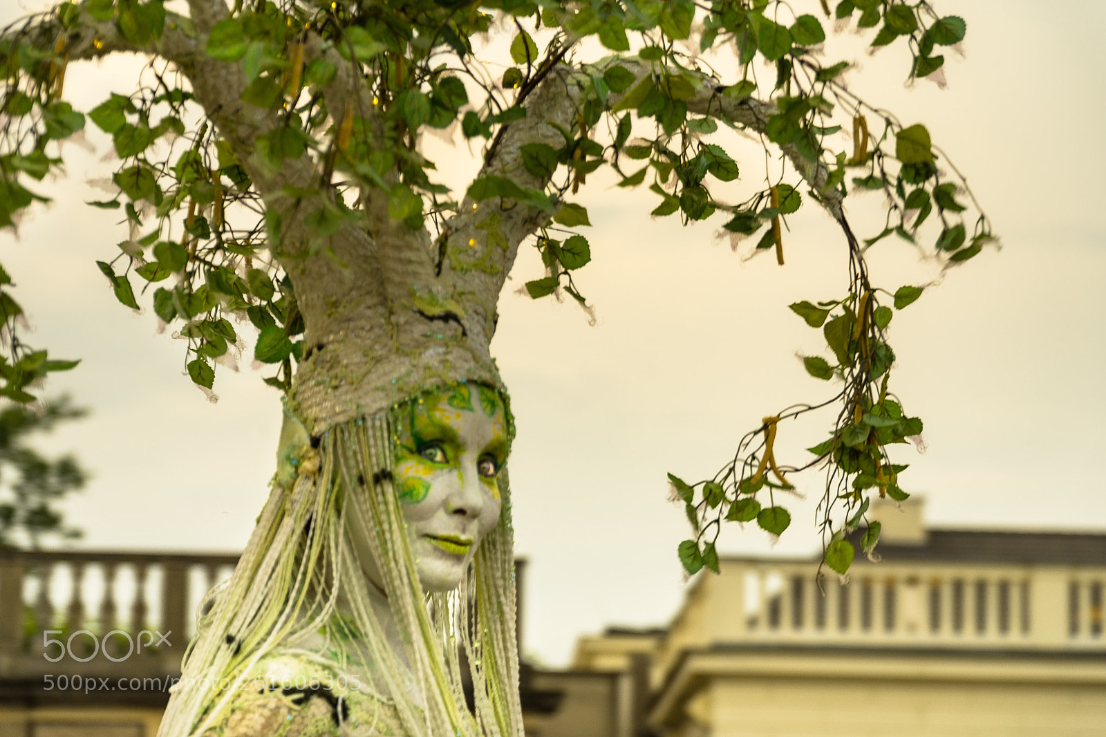 Sony a7 II sample photo. Tree of life photography