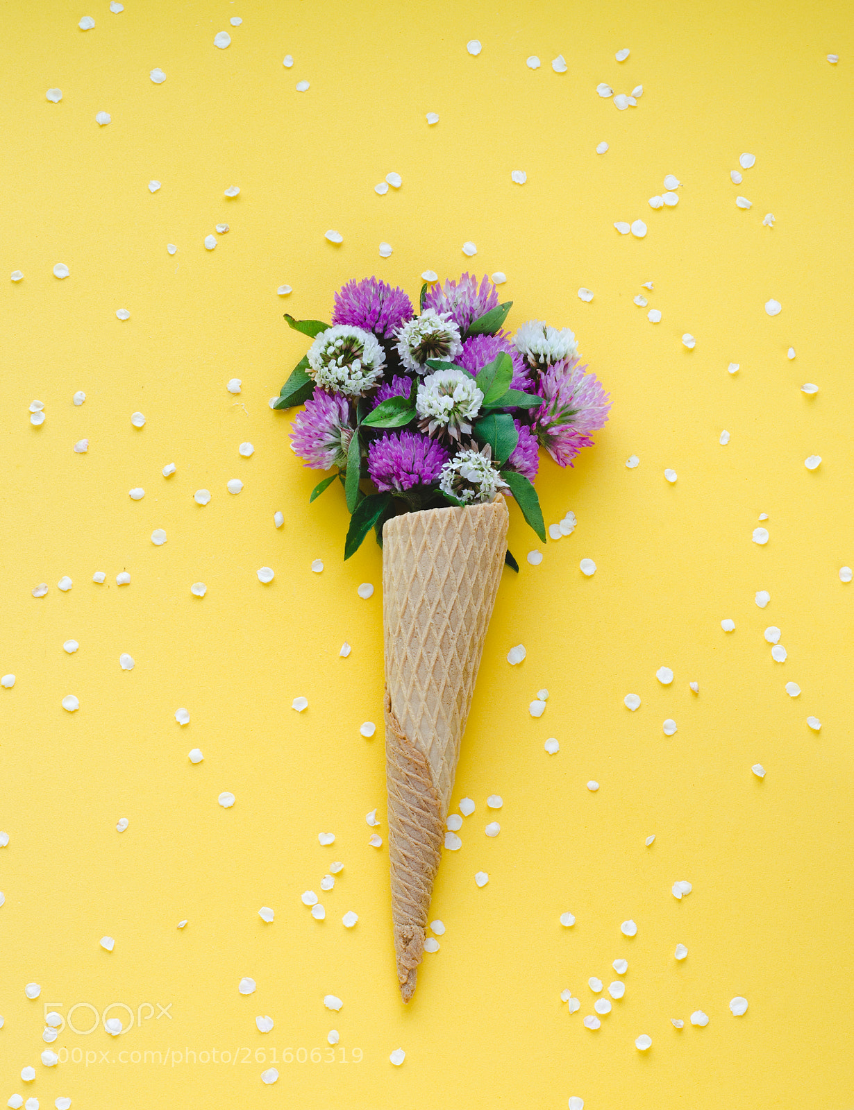 Nikon D5100 sample photo. Flowers in ice cream photography