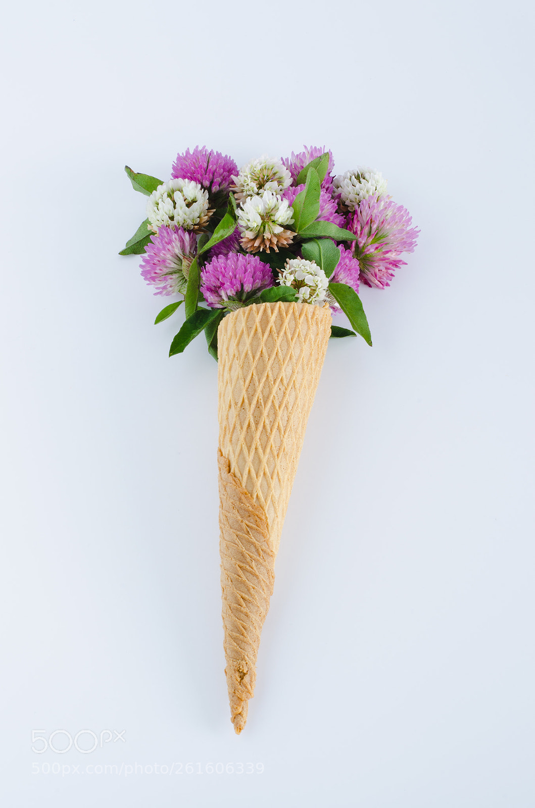 Nikon D5100 sample photo. Flowers in ice cream photography