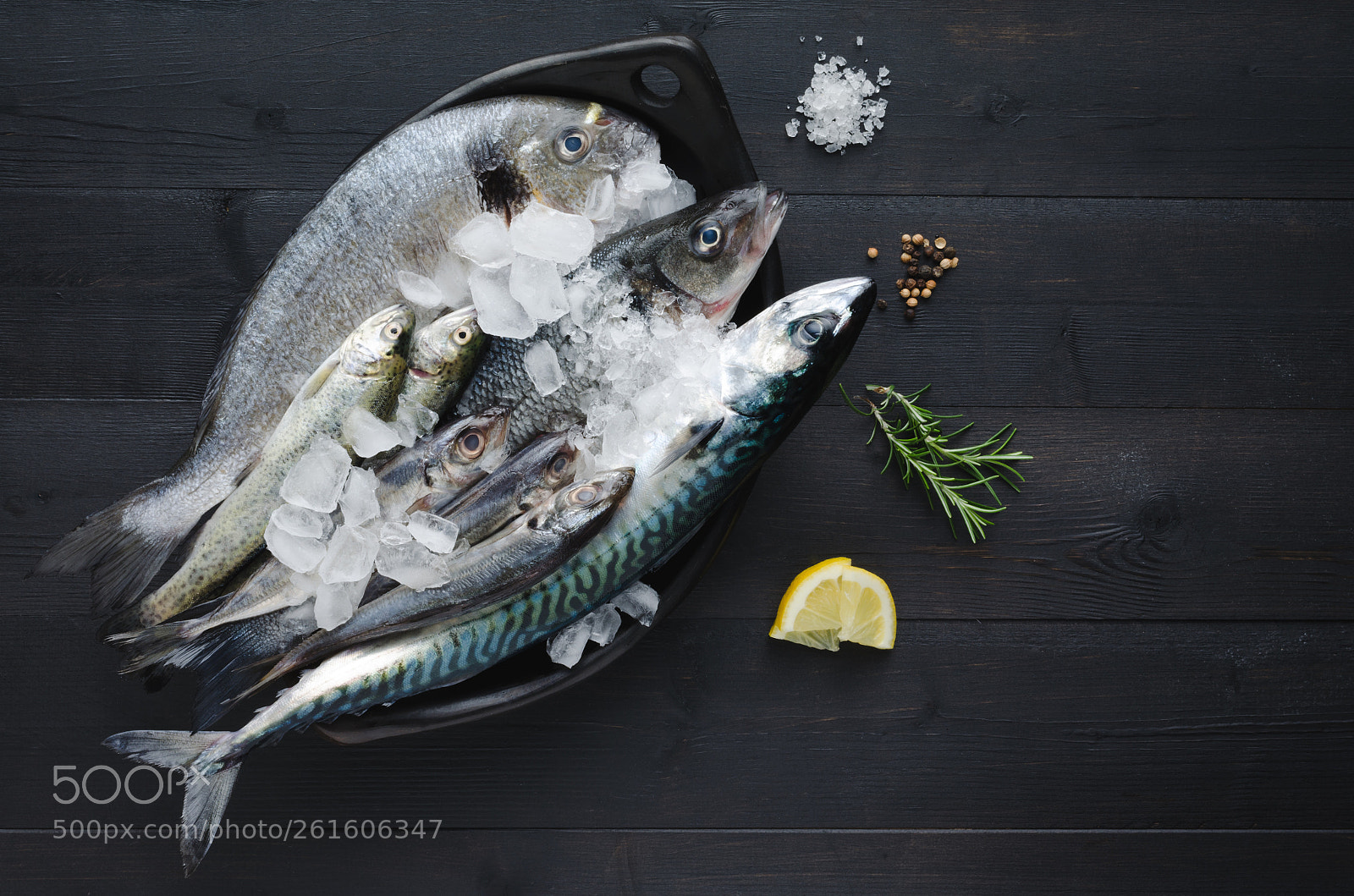 Nikon D5100 sample photo. Fresh fish with ice photography