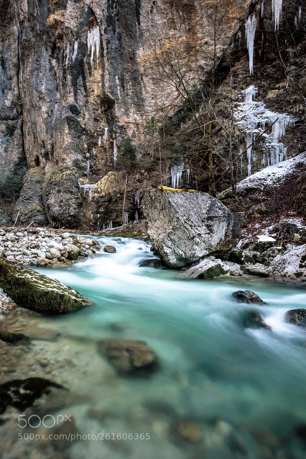 Canon EOS 5D Mark IV sample photo. Into the wild photography