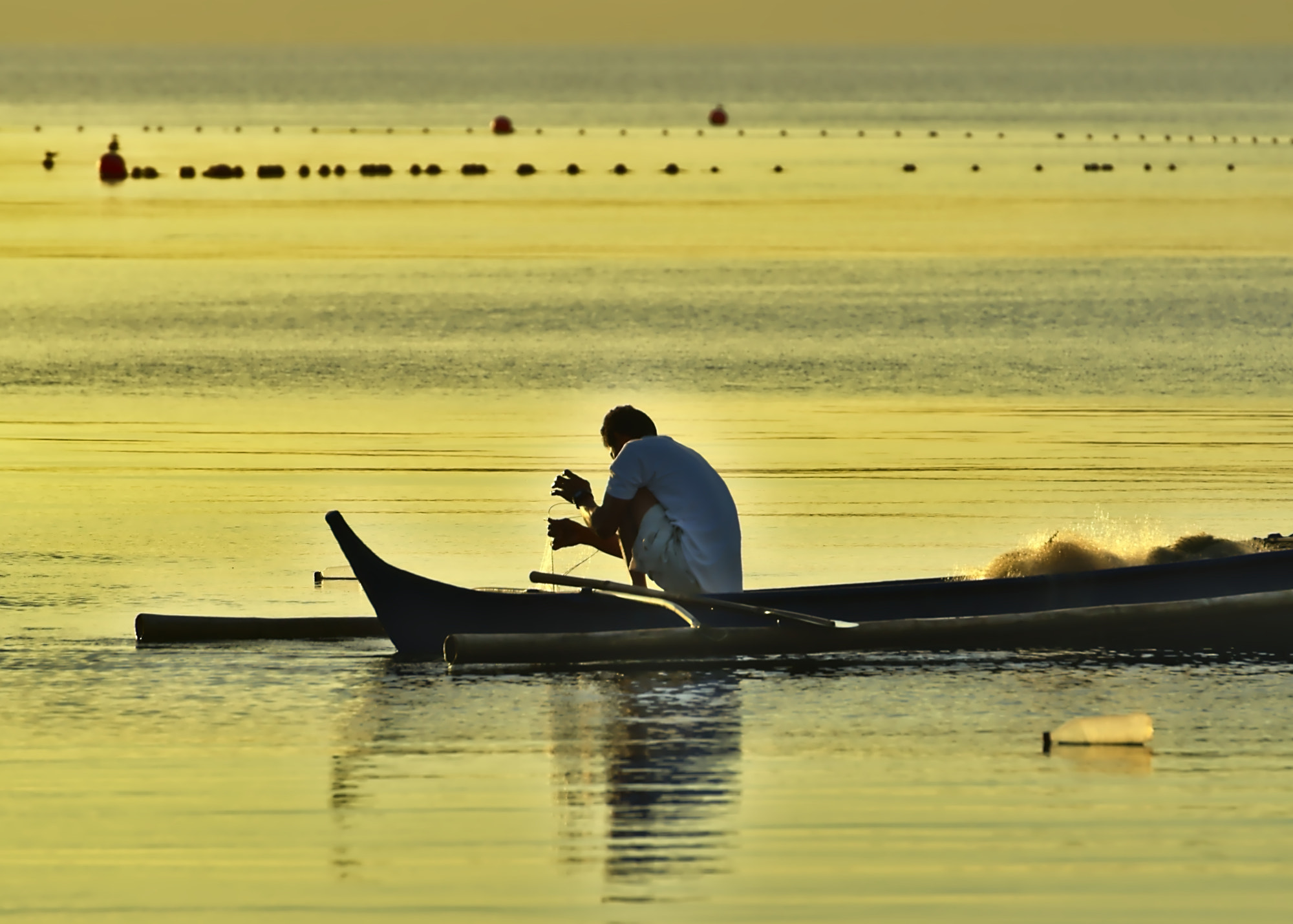 Nikon AF-S Nikkor 70-200mm F2.8G ED VR II sample photo. The lonesome 1 photography