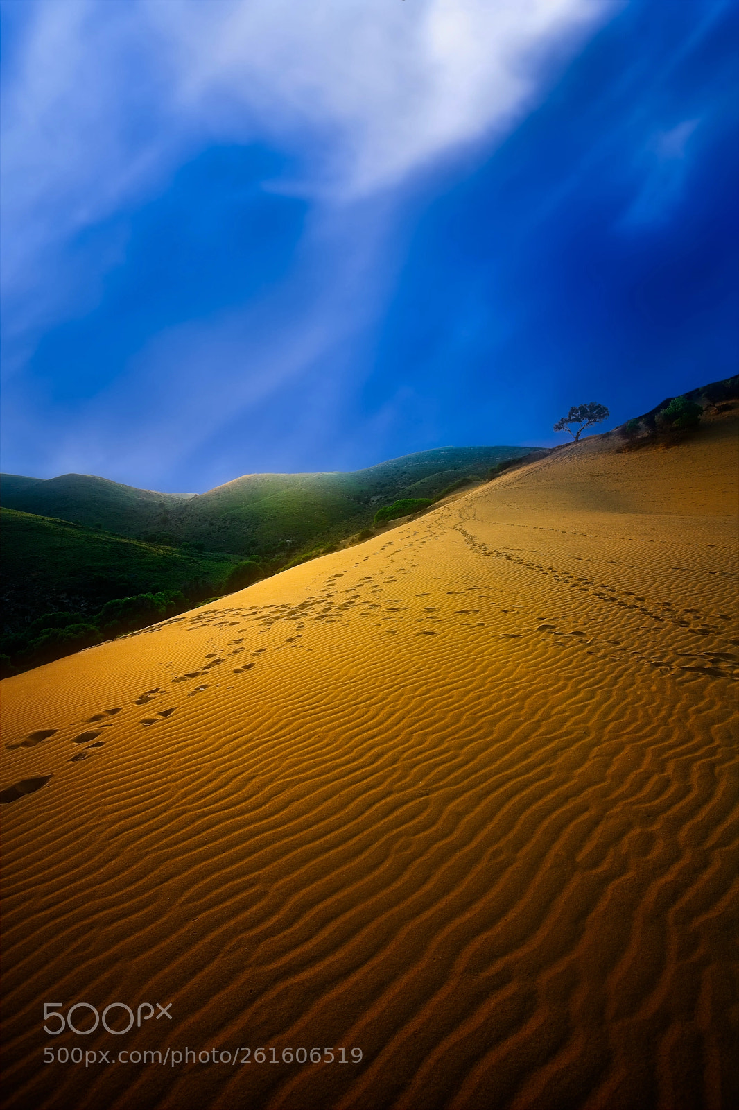Nikon D850 sample photo. Sand dunes (lemnos island) photography
