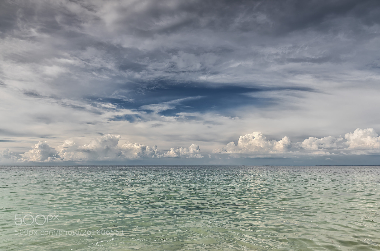 Nikon D750 sample photo. De bleu photography
