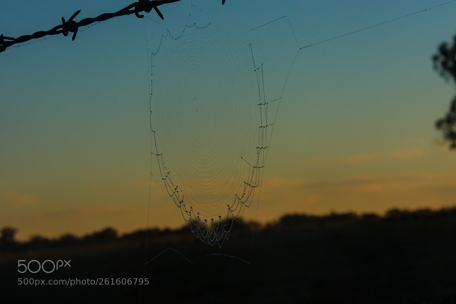 Canon EOS 7D Mark II sample photo. Untitled photography