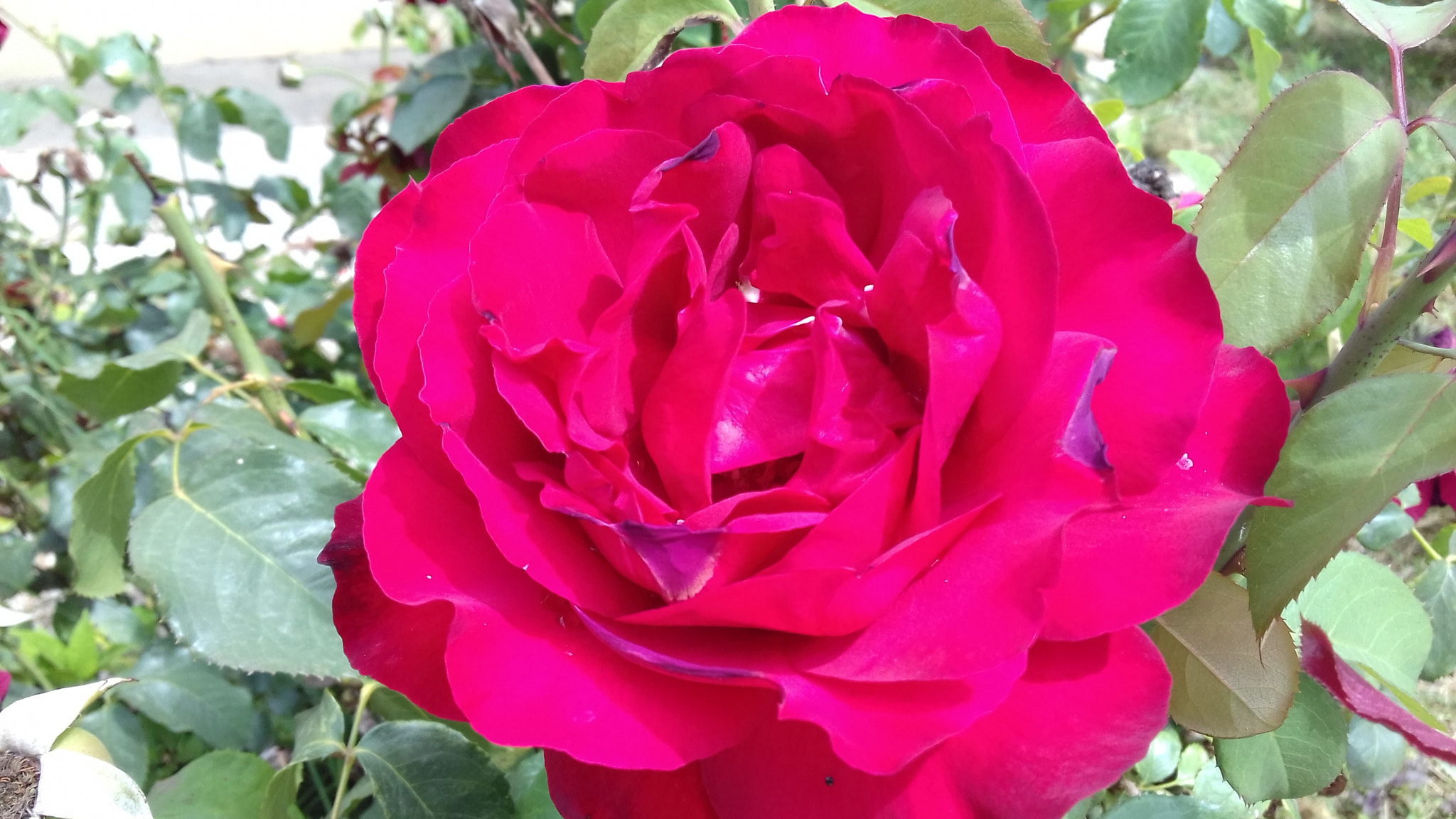 Samsung Galaxy J3 sample photo