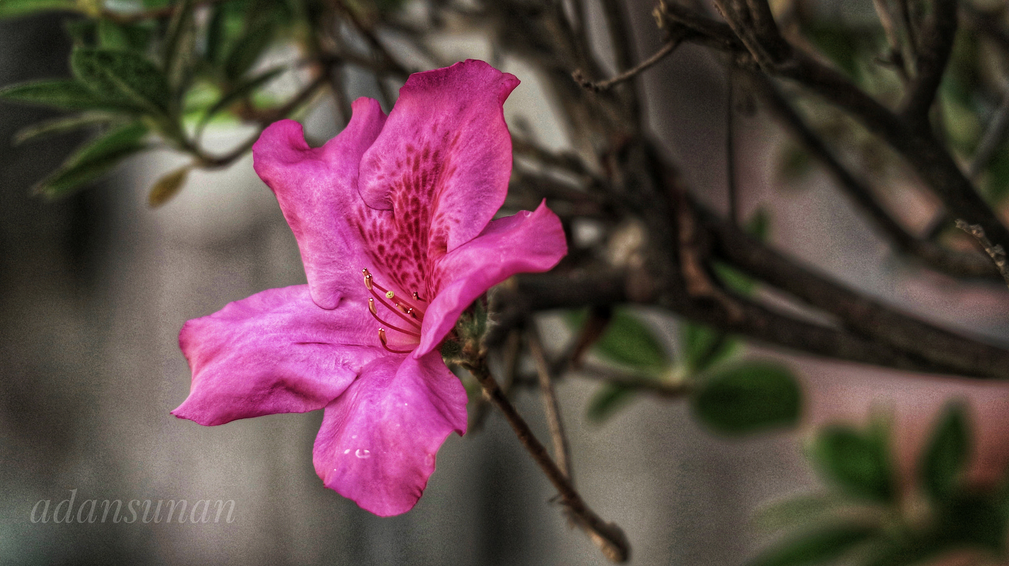 Canon EOS M10 sample photo. Kayas photography