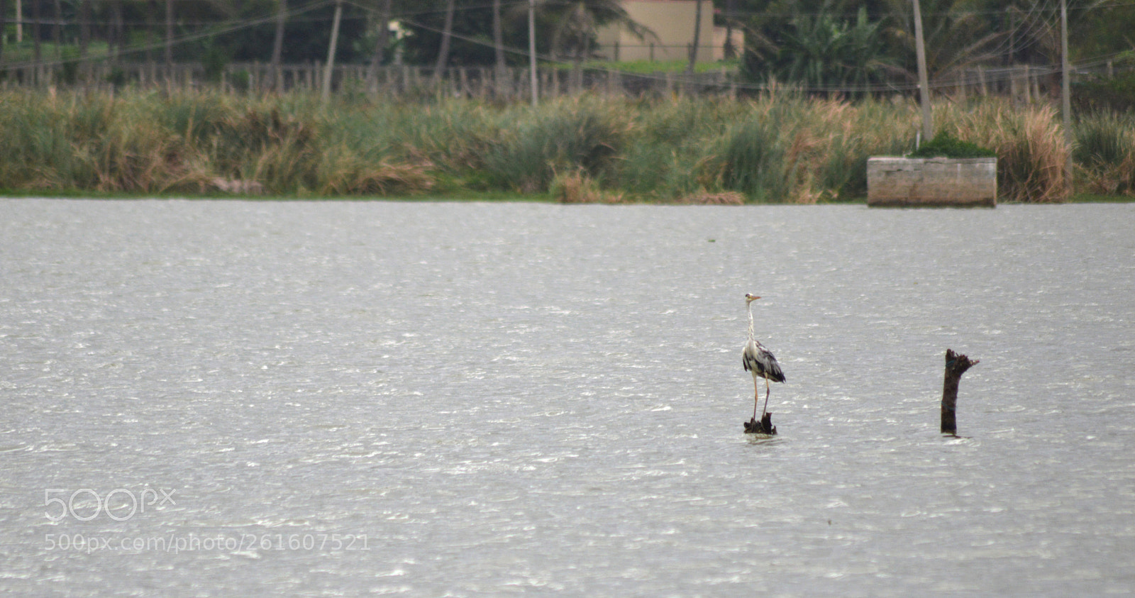 Nikon D3200 sample photo. Dsc photography