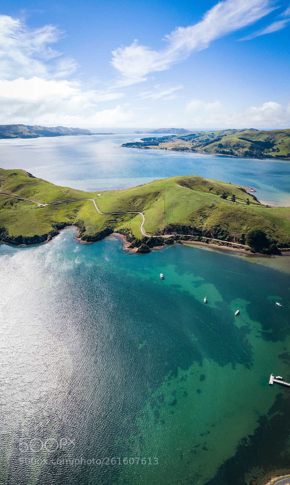 DJI FC220 sample photo. Otago peninsula photography