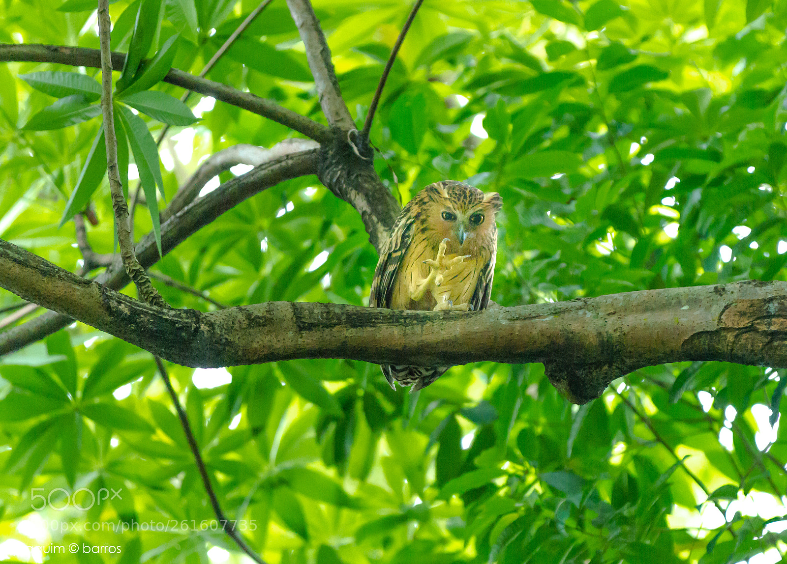 Canon EOS 7D sample photo. Get lost! photography