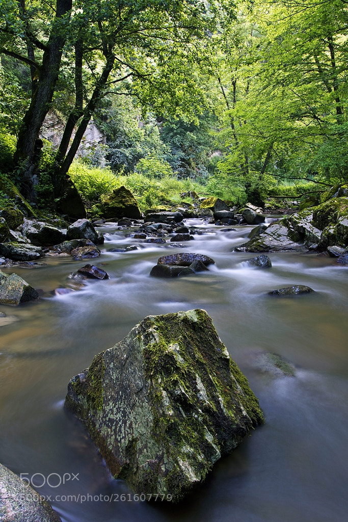 Canon EOS 7D Mark II sample photo. River view photography