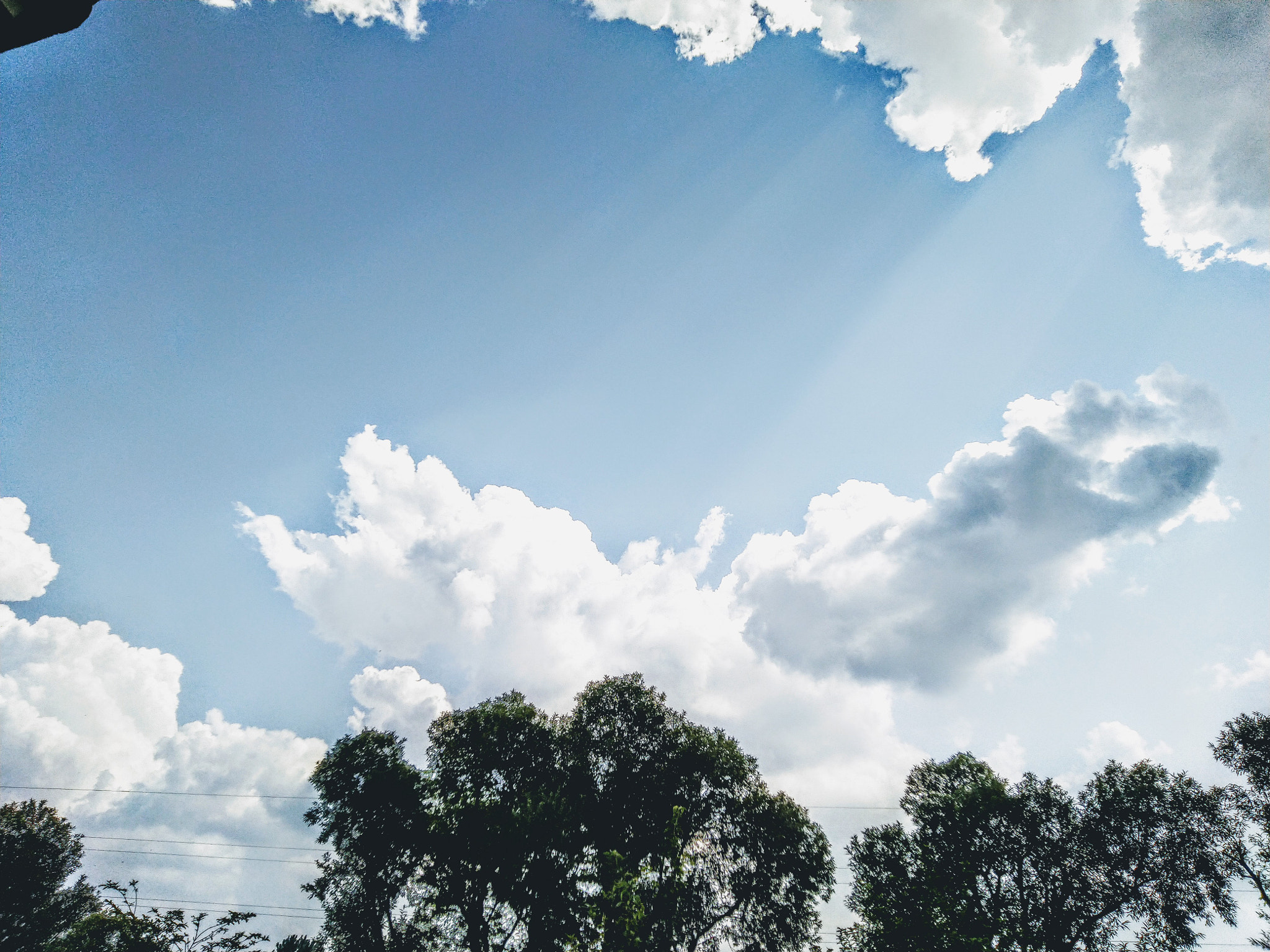 ASUS ZenFone Max Pro M1 (ZB602KL) (WW) / Max Pro M1 (ZB601KL) (IN) sample photo. Sky photography