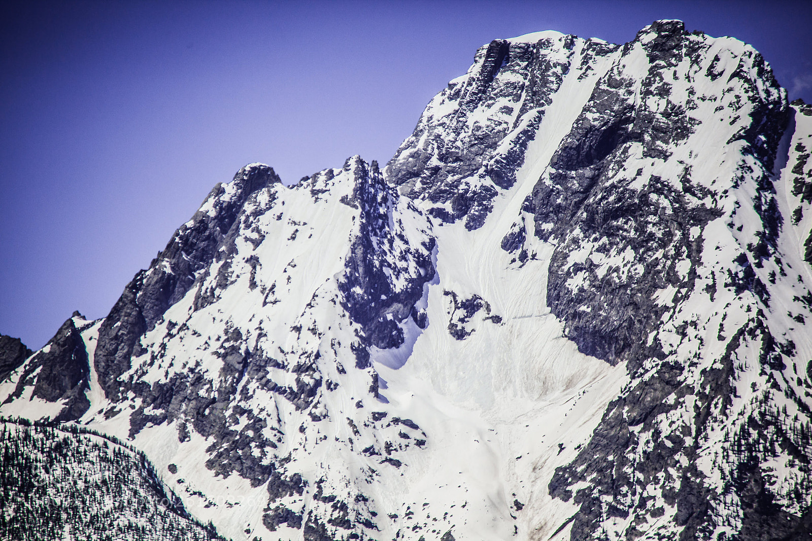 Canon EOS 5D Mark II sample photo. Skillet glacier, mt. moran photography