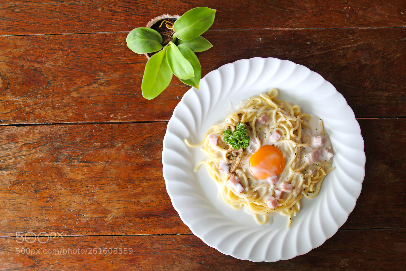 Canon EOS 550D (EOS Rebel T2i / EOS Kiss X4) sample photo. Spaghetti carbonara with egg photography