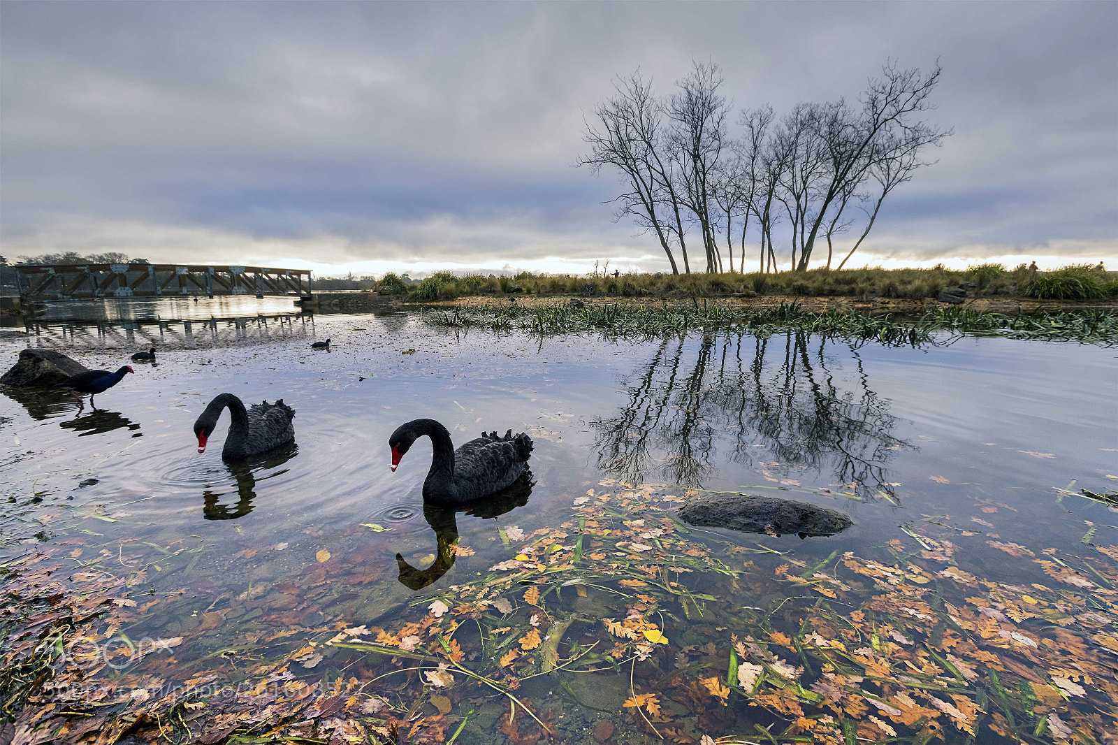 Canon EOS 7D Mark II sample photo. Feeding time photography