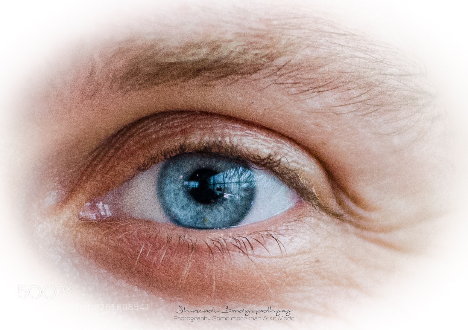 Nikon D5100 sample photo. Ocean blue eye photography