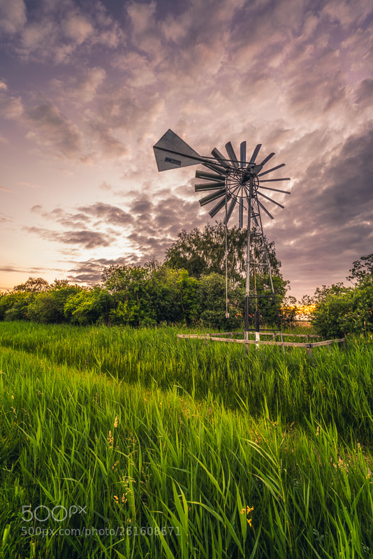 Sony a7R II sample photo. Sunset over the new photography